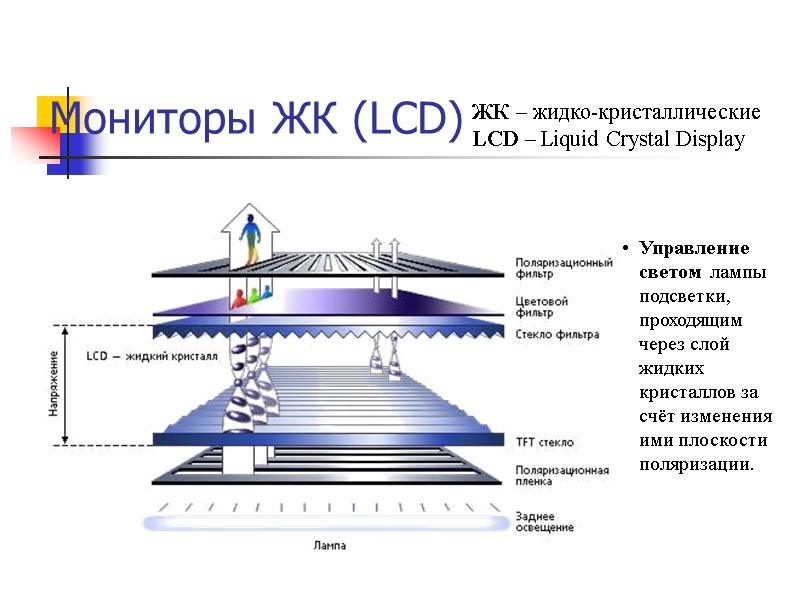 Мониторы ЖК (LCD) ЖК – жидко-кристаллические LCD – Liquid Crystal Display Управление светом 